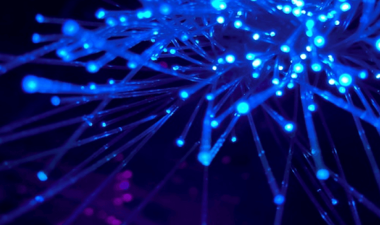 Dedicated Internet Connectivity